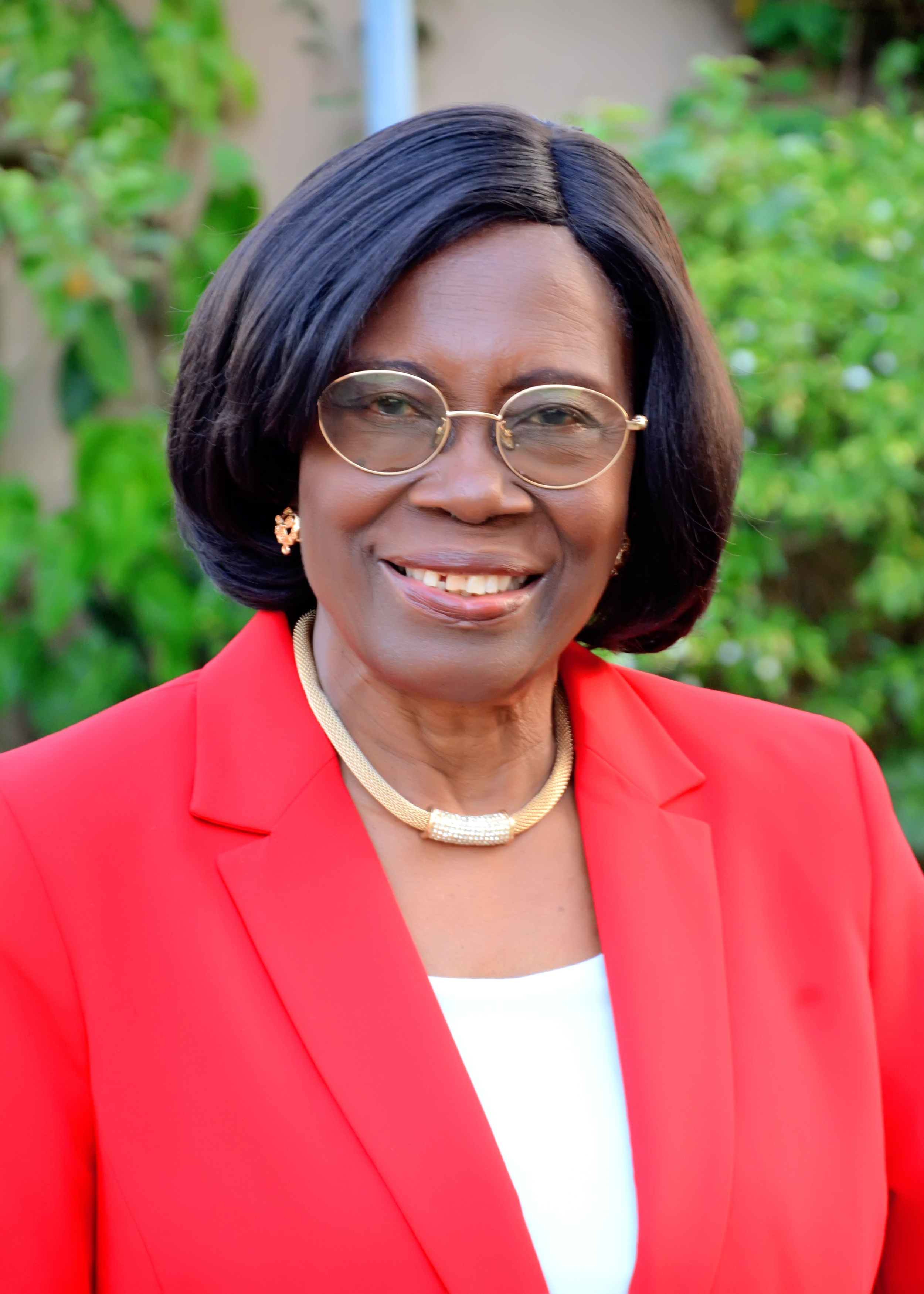 Prof. Adeyinka Falusi