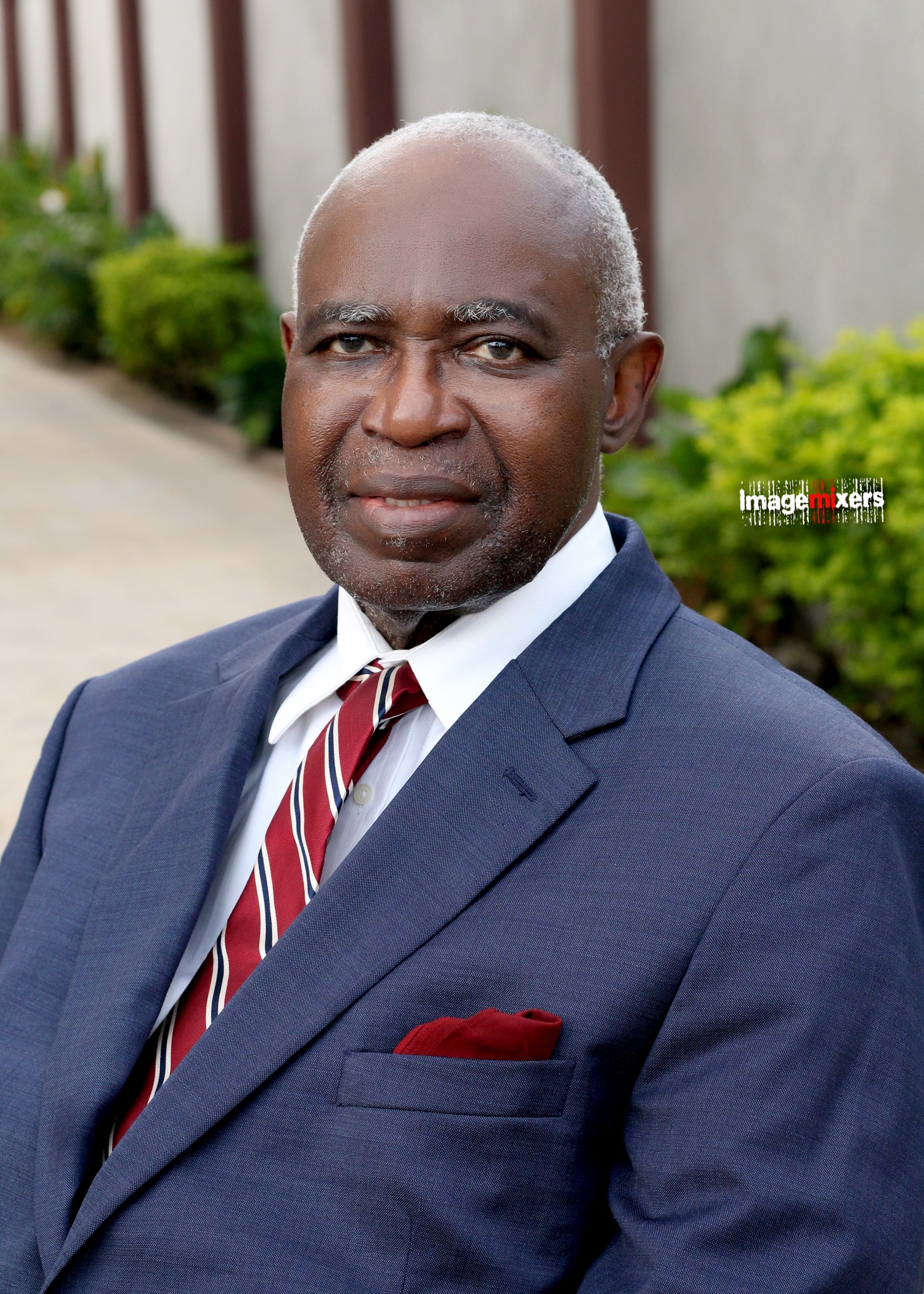 Prof. Abiodun Falusi